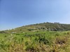 ARSA BAŞAKŞEHİR / İSTANBUL 57500000 TL