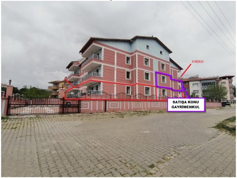 fotograf-24136601