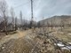 ARSA MERKEZ / BİTLİS 7500000 TL